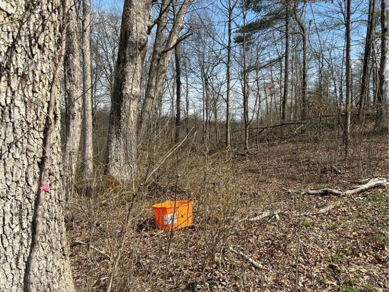 44800 Jim Stimpert Road, Lewisville, OH 43754 Photo 38