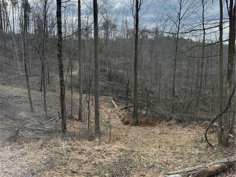 44800 Jim Stimpert Road, Lewisville, OH 43754 Photo 39