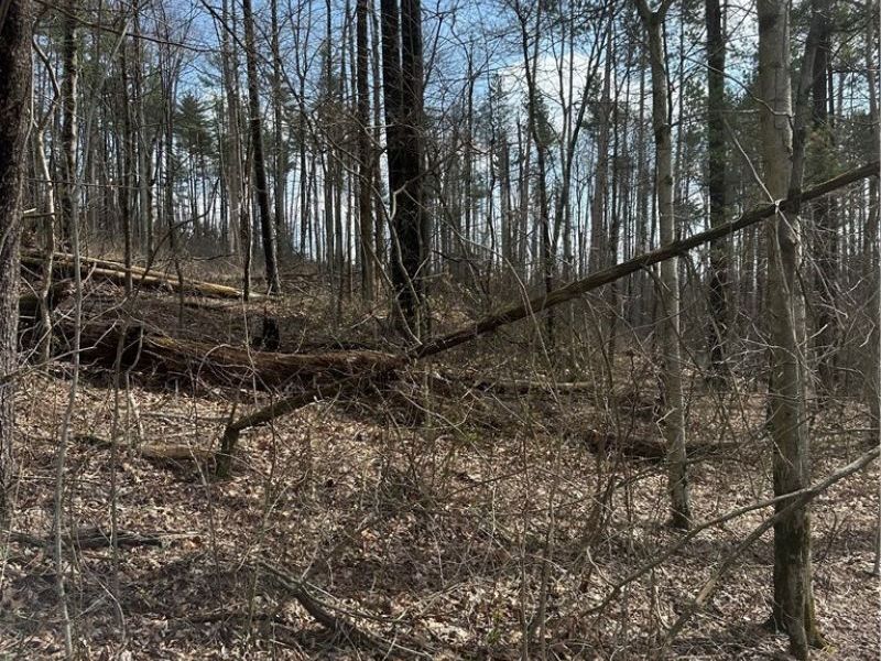 44800 Jim Stimpert Road, Lewisville, OH 43754 Photo 40