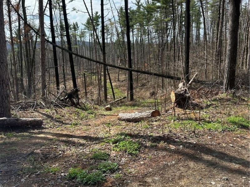 44800 Jim Stimpert Road, Lewisville, OH 43754 Photo 43