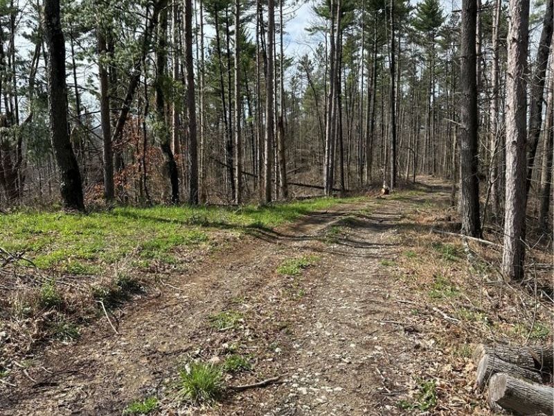 44800 Jim Stimpert Road, Lewisville, OH 43754 Photo 44