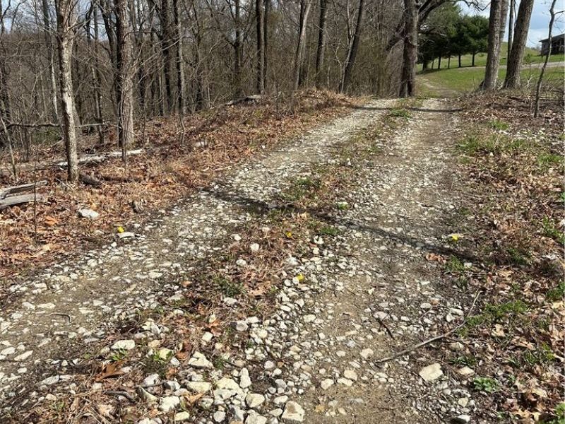 44800 Jim Stimpert Road, Lewisville, OH 43754 Photo 45