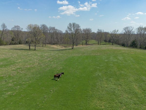 1904 Millers Chapel Rd , Charlotte, TN 37036