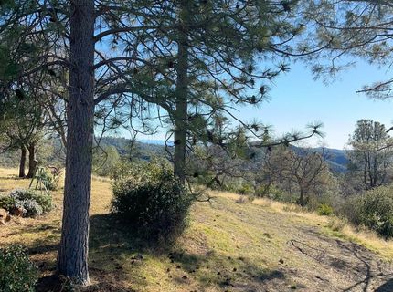 5611 Donkey Lane, Coulterville, CA 95311 Photo