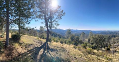 5611 Donkey Lane, Coulterville, CA 95311 Photo