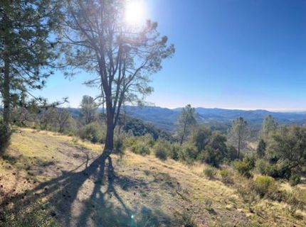 5611 Donkey Lane, Coulterville, CA 95311 Photo