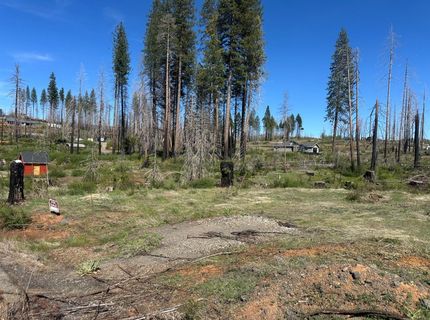 5154 Evergreen Dr, Grizzly Flats, CA 95636 Photo