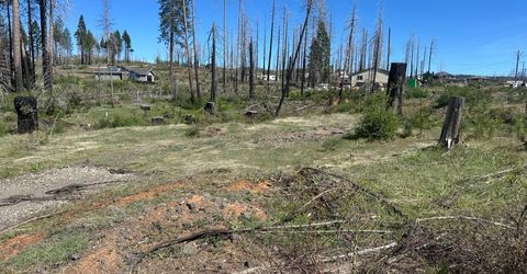 5154 Evergreen Dr, Grizzly Flats, CA 95636 Photo