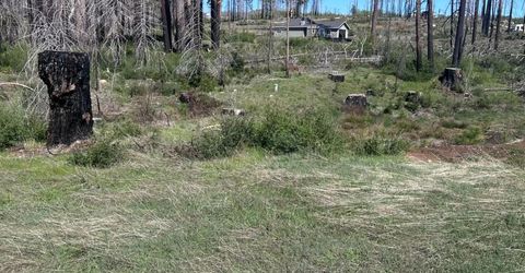 5154 Evergreen Dr, Grizzly Flats, CA 95636 Photo