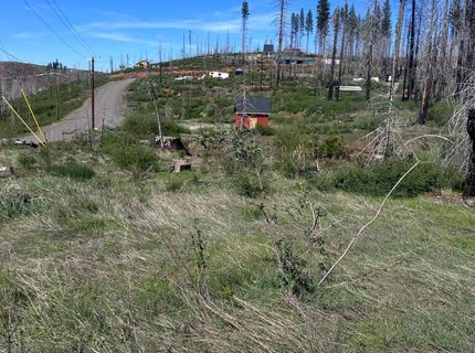 5154 Evergreen Dr, Grizzly Flats, CA 95636 Photo