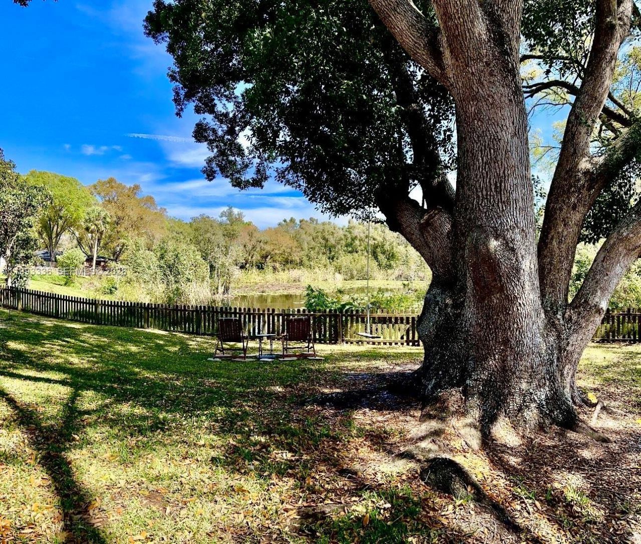 15521 Wetstone Drive, Tampa, FL 33613 Photo