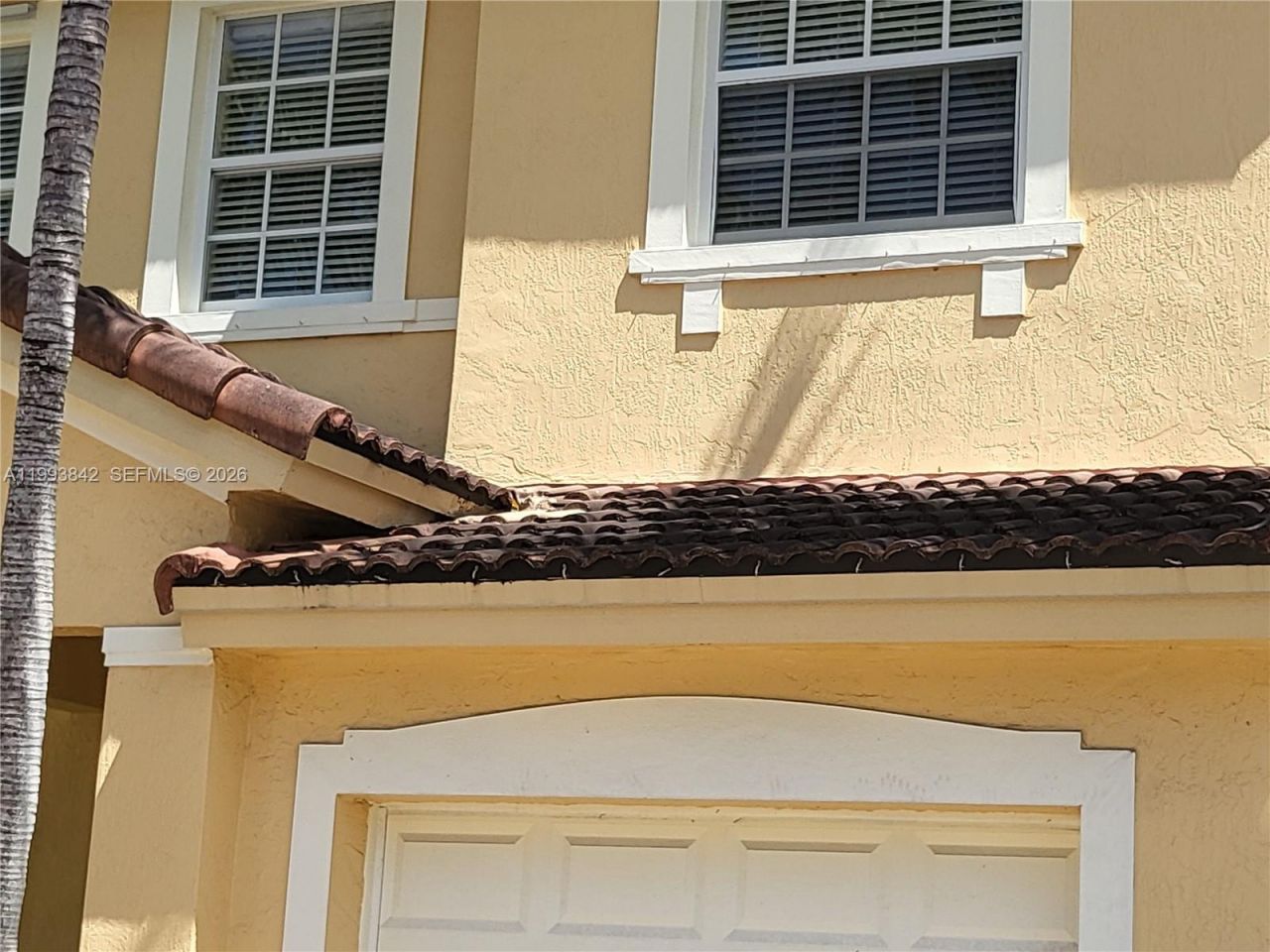 4125 NE 24th Dr, Unit 4125, Homestead, FL 33033 Photo