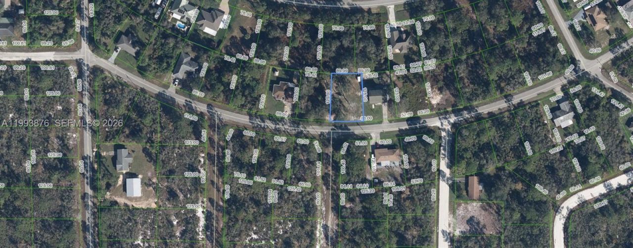 343 Ellison Ave , Lake Placid, FL 33852 Photo