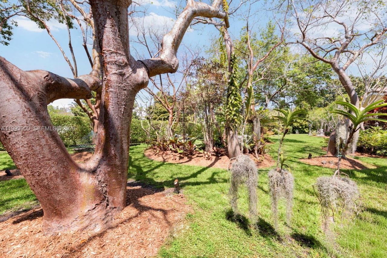 7751 Palmetto Ct , Pinecrest, FL 33156 Photo