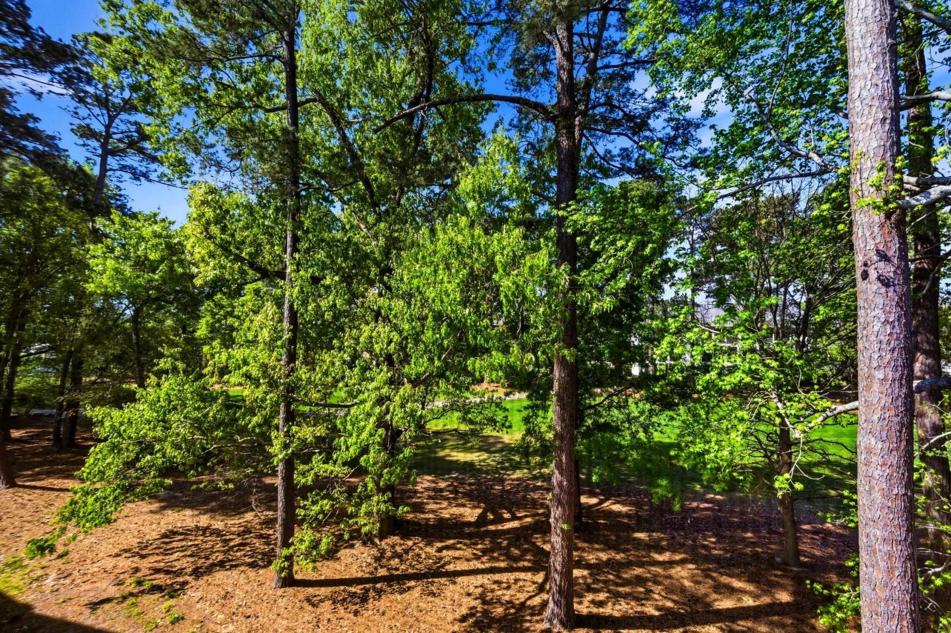 690 Riverwalk Dr.  Photo 22