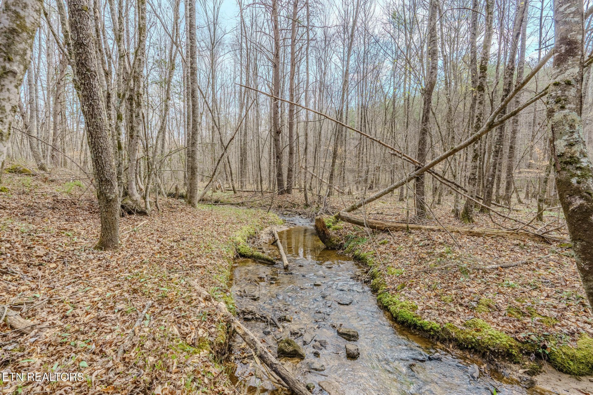 1259 Steve Brown Rd, Bean Station, TN 37708 Main Photo