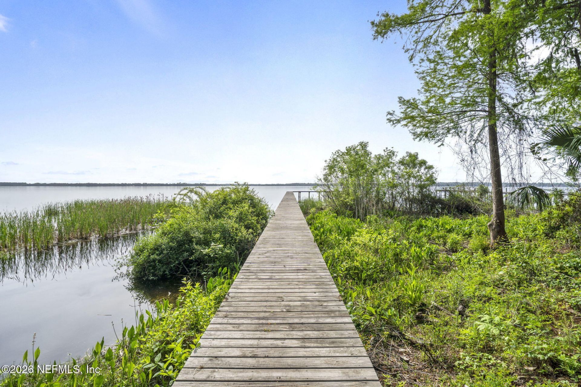 3175 Doctors Lake Drive, Orange Park, FL 32073 Photo