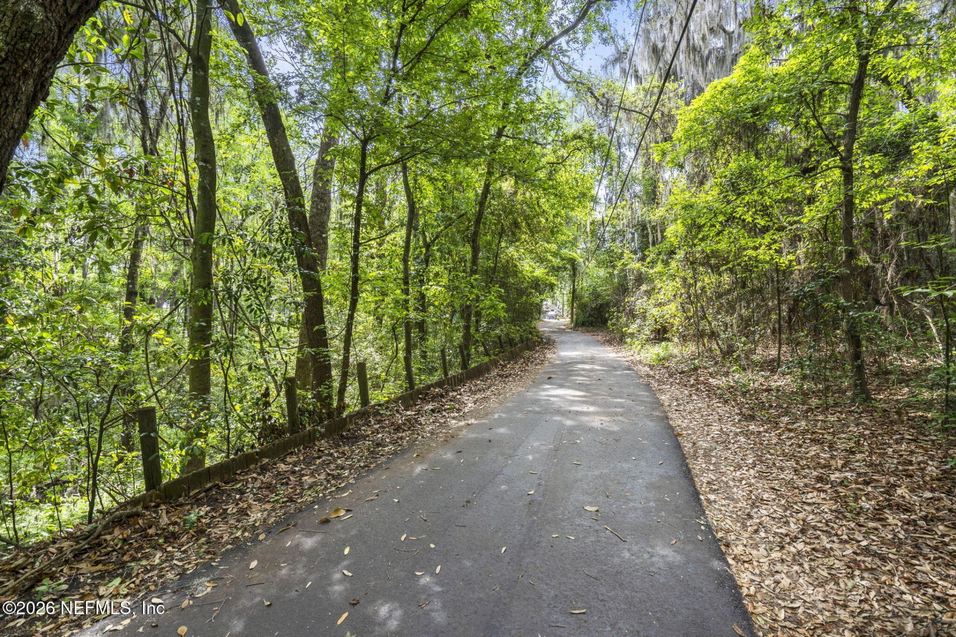 3175 Doctors Lake Drive, Orange Park, FL 32073 Photo