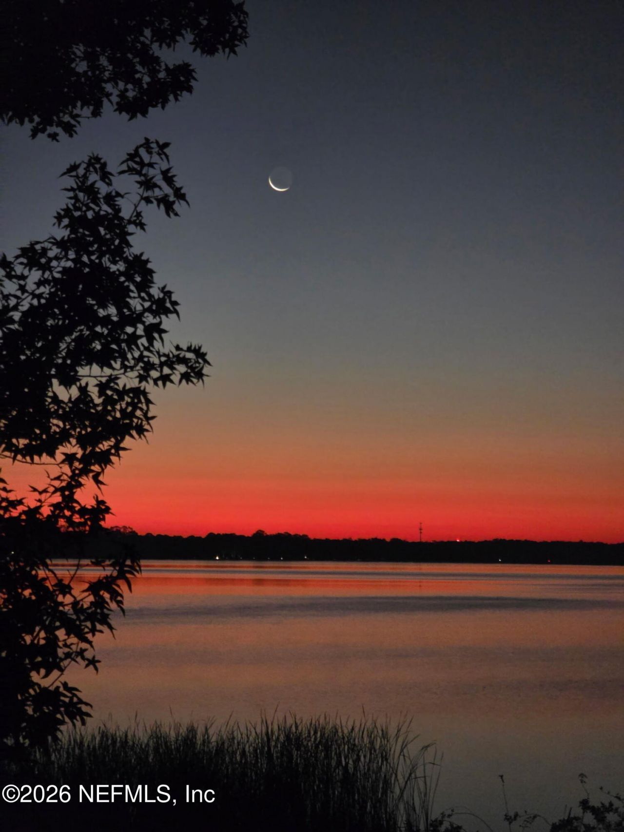 3175 Doctors Lake Drive, Orange Park, FL 32073 Photo