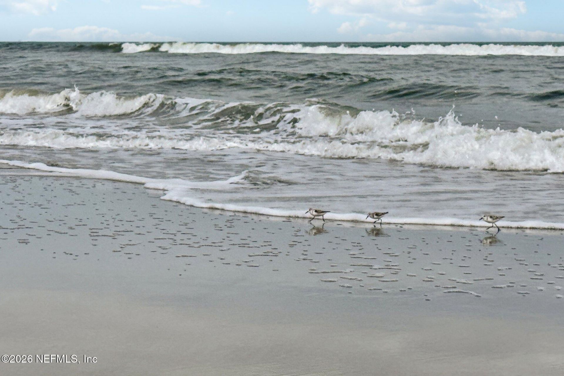 2802 2nd Street S, Jacksonville Beach, FL 32250 Photo