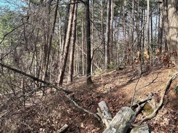 0 Log Swamp Dr. Drive, Jasper, GA 30143