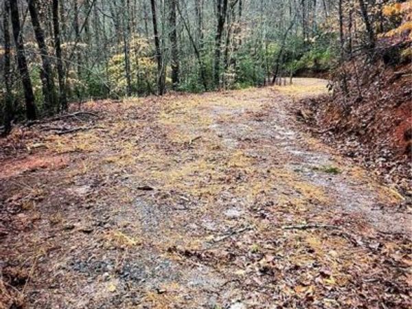 69 Gold Lake Drive , Cleveland, GA 30528