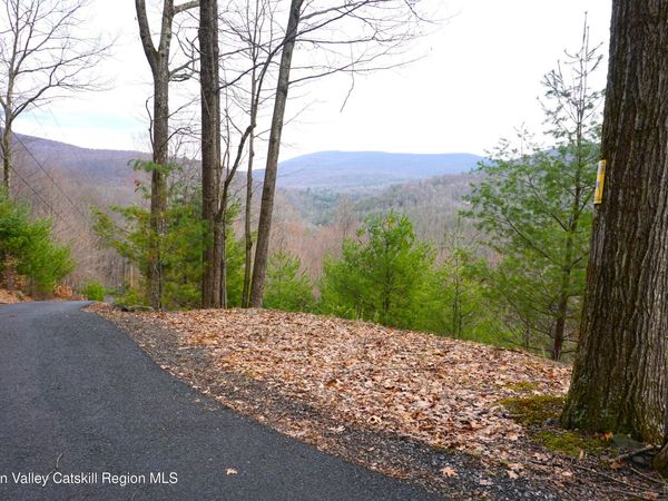 20 Lion's Way, Shady, NY 12409