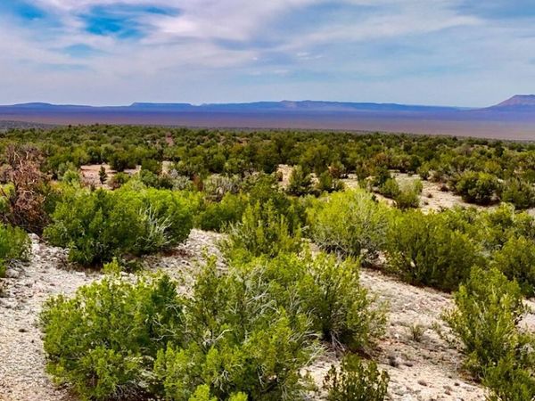 31326 Cll Barril 9.34 Acres, Unit -, Seligman, AZ 86337