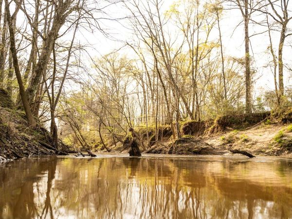 000 Mississippi 9, Eupora, MS 39744