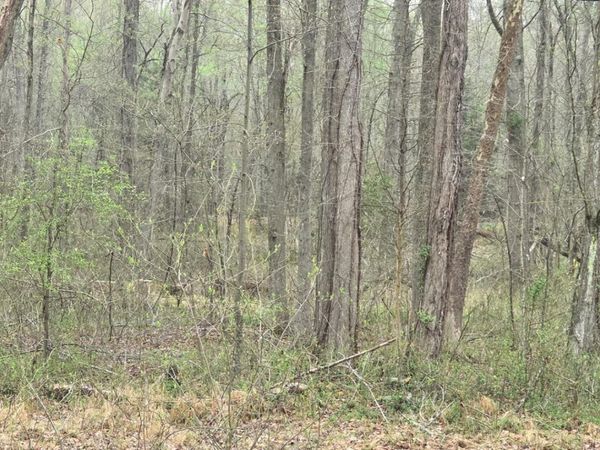 KEECH ROAD , CHARLOTTE HALL, MD 20622