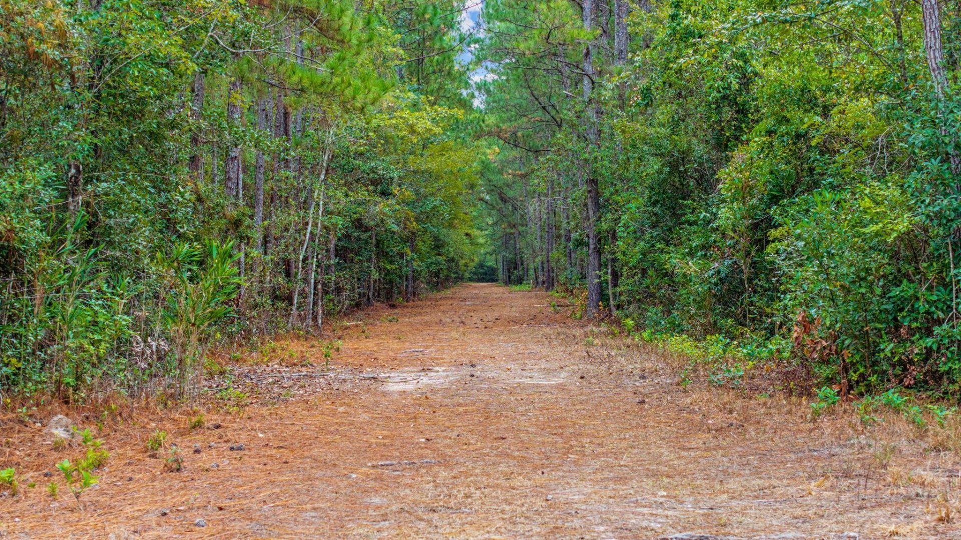 Tbd River Bend Rd. Photo 12