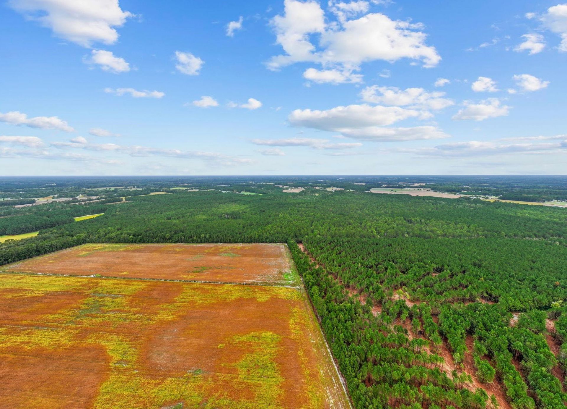 Tbd River Bend Rd. Photo 4