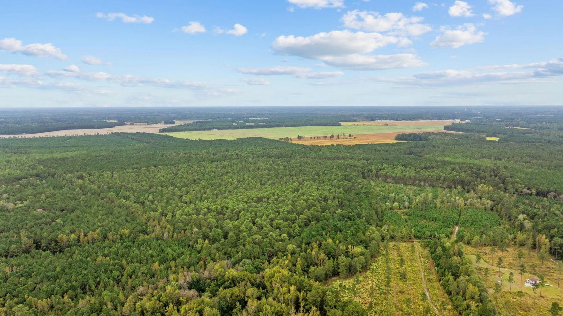Tbd River Bend Rd. Photo 5