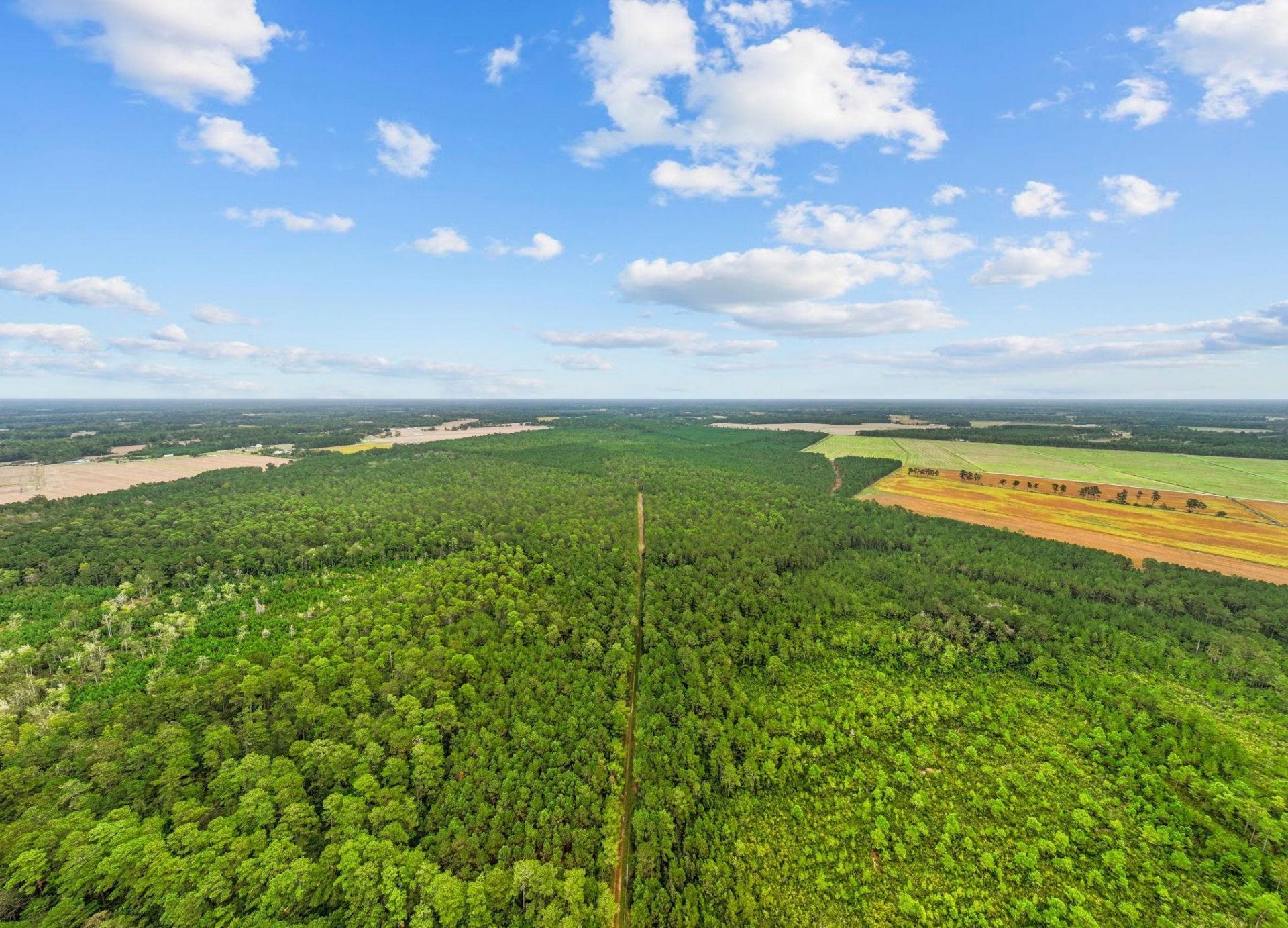 Tbd River Bend Rd. Photo 6