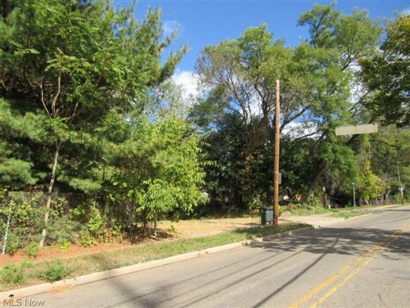 1199 Newton Street, Akron, OH 44305 Photo 2