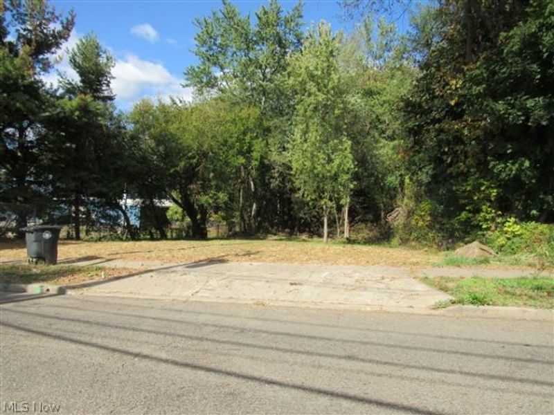 1199 Newton Street, Akron, OH 44305 Photo 3