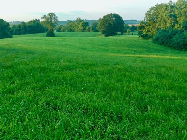 0 Clear Creek Road , Pulaski, TN 38478