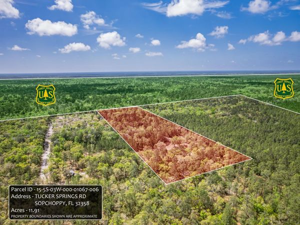 xxx Tucker Springs Road, Sopchoppy, FL 32358