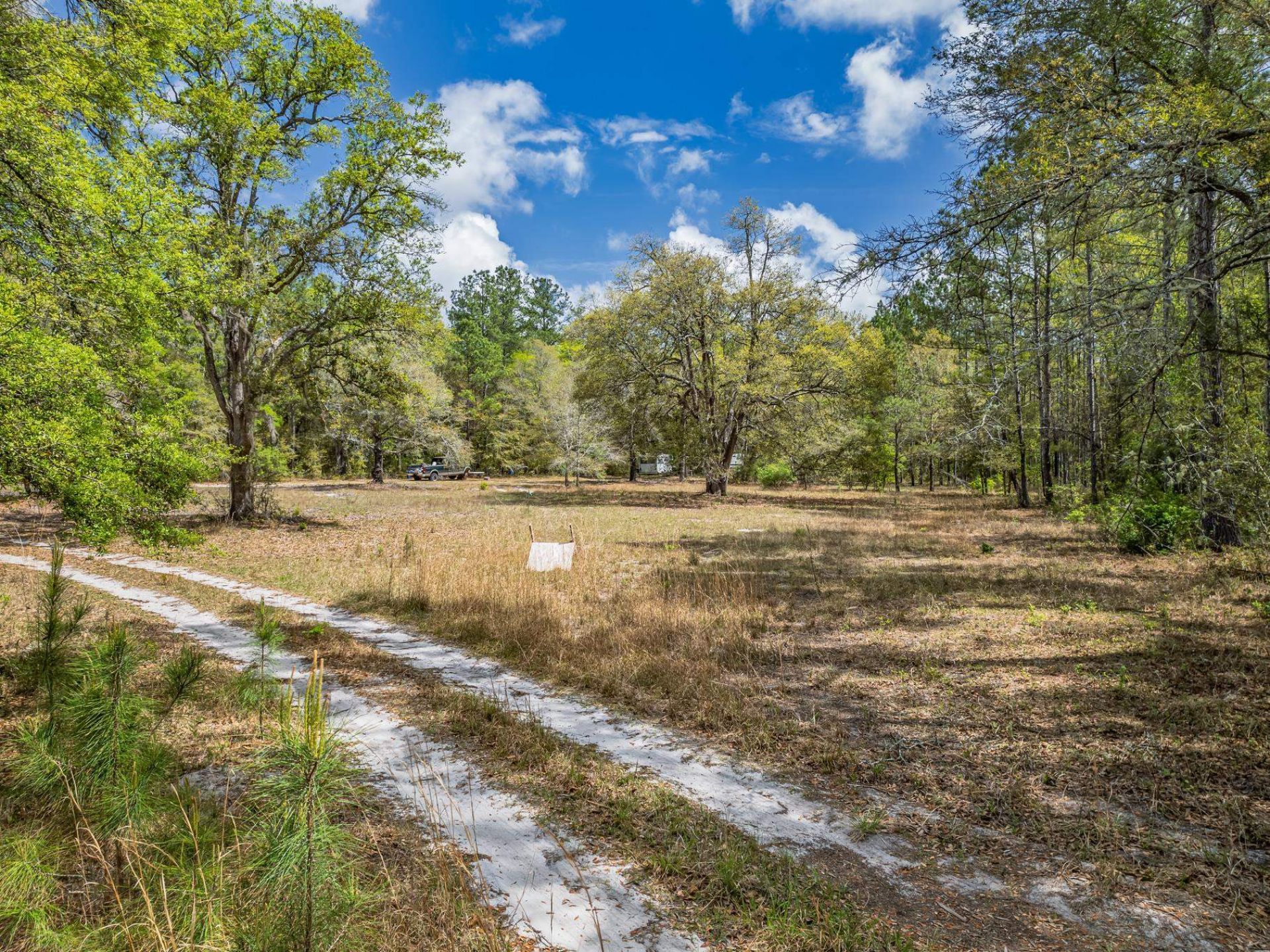 Xxx Tucker Springs Road, Sopchoppy, FL 32358 Photo