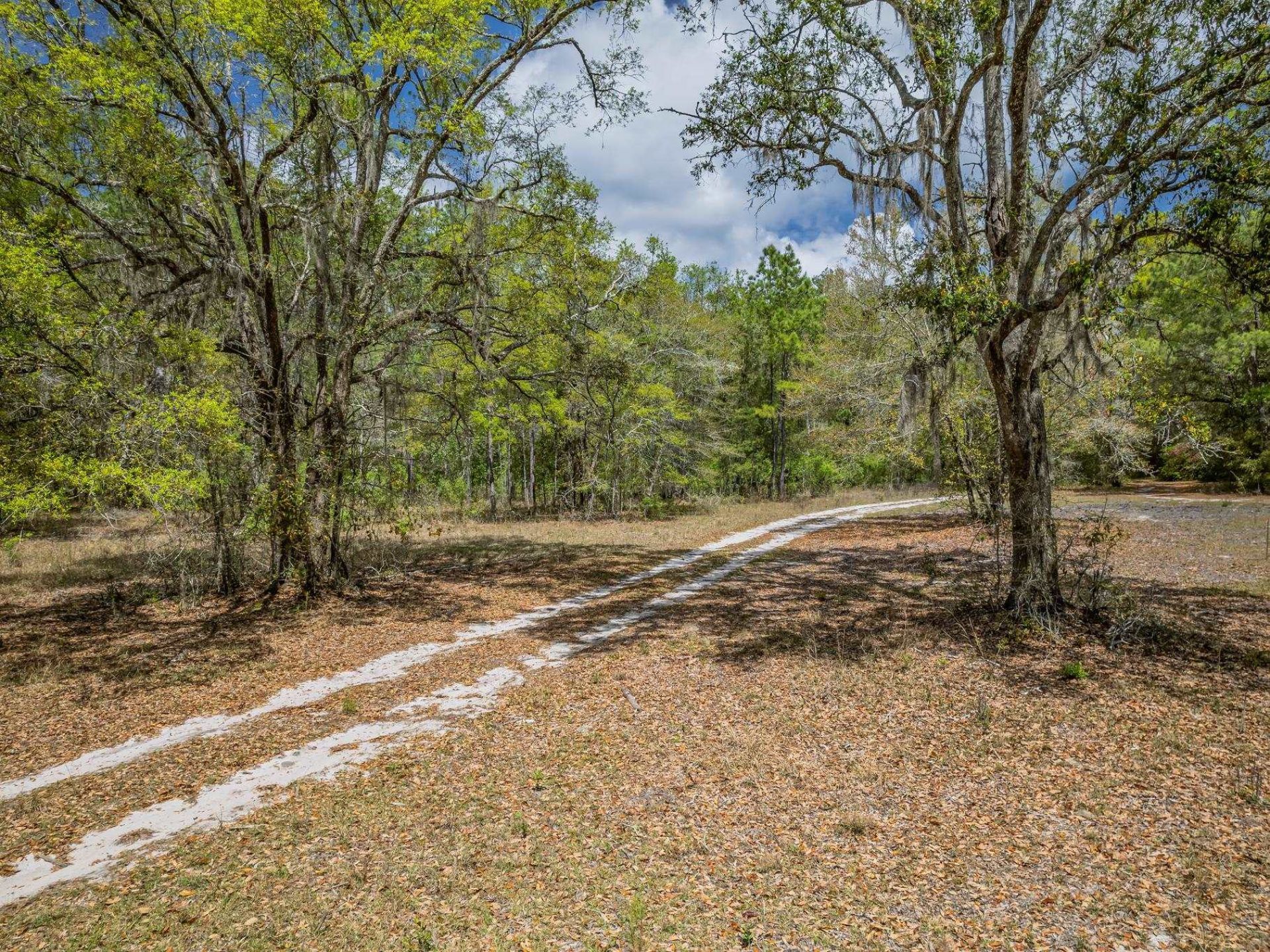 Xxx Tucker Springs Road, Sopchoppy, FL 32358 Photo