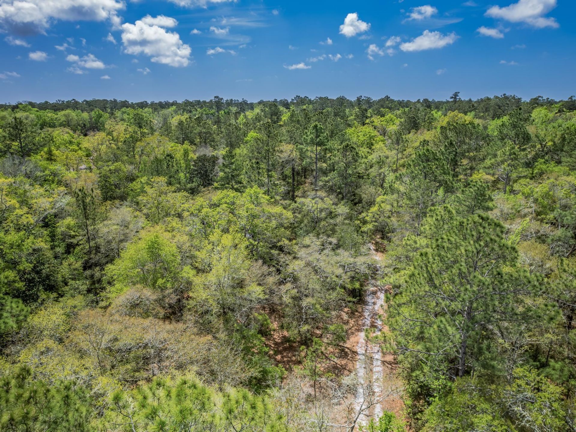 Xxx Tucker Springs Road, Sopchoppy, FL 32358 Photo