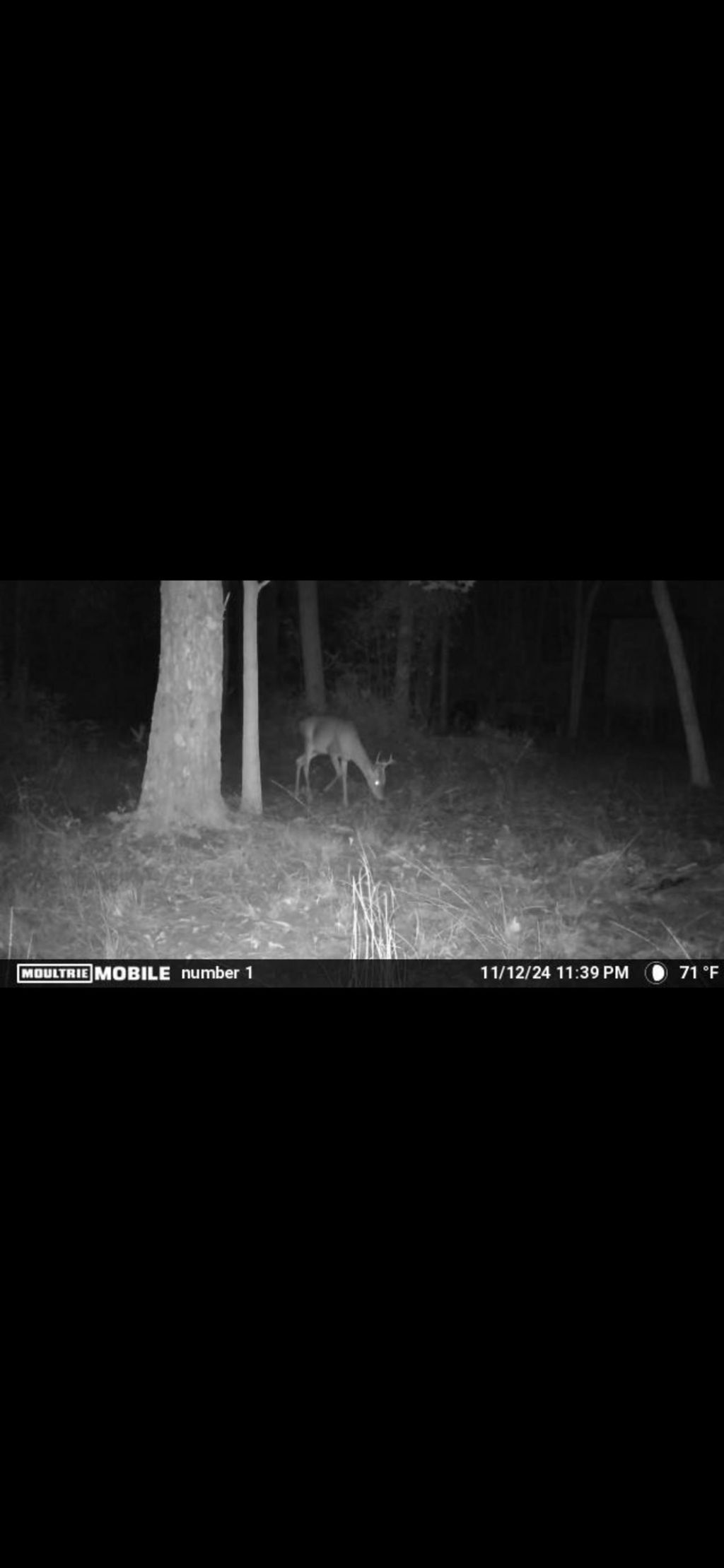 Xxx Tucker Springs Road, Sopchoppy, FL 32358 Photo