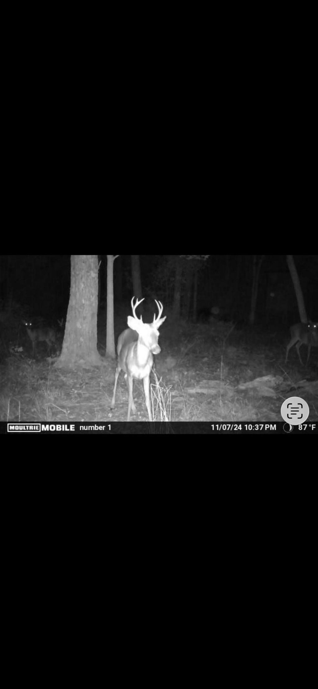 Xxx Tucker Springs Road, Sopchoppy, FL 32358 Photo