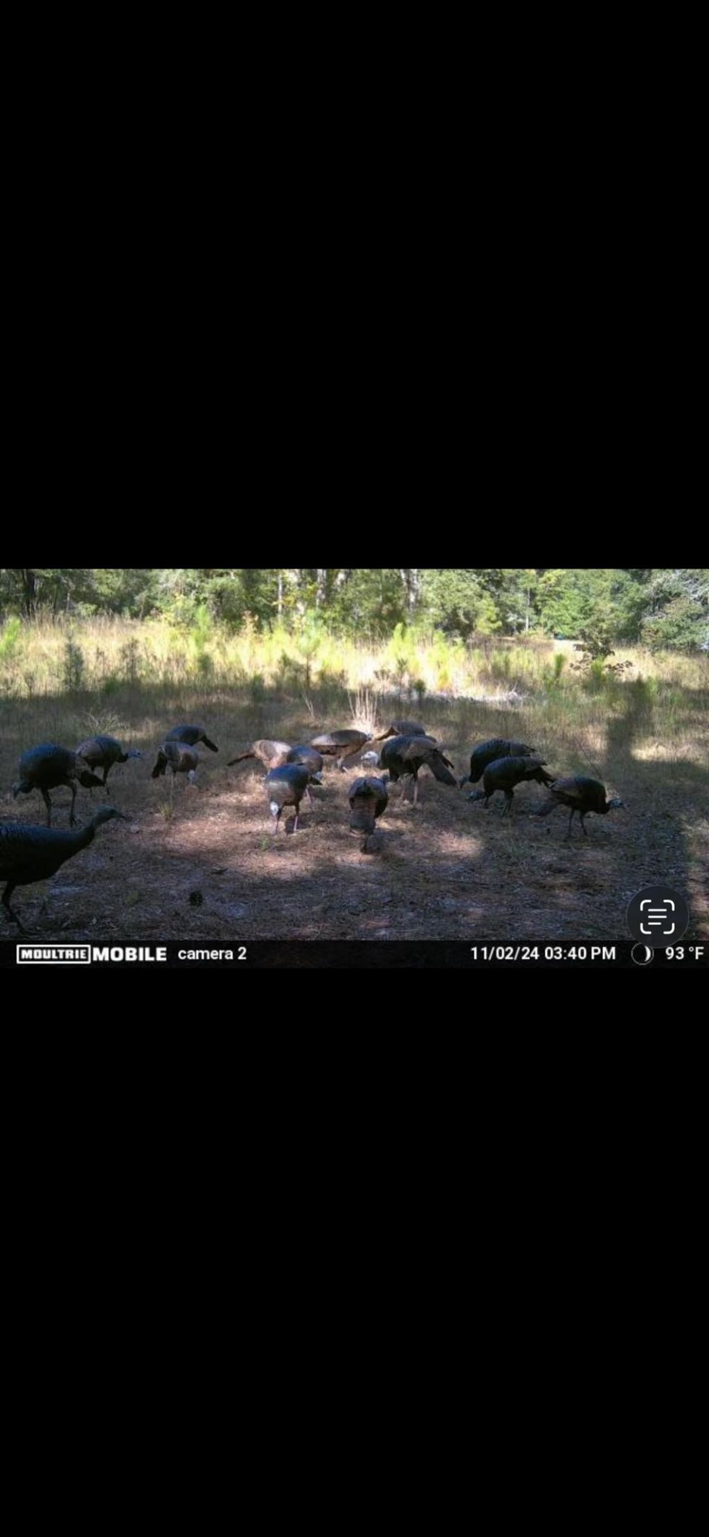 Xxx Tucker Springs Road, Sopchoppy, FL 32358 Photo