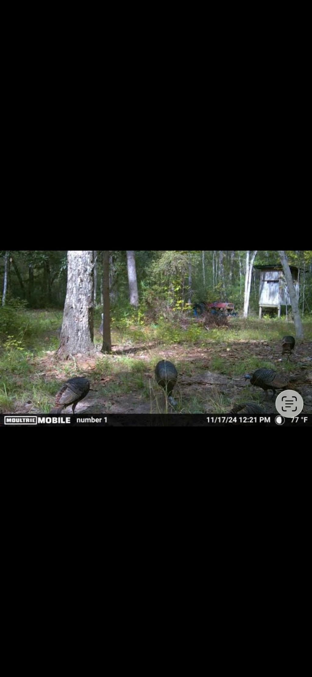 Xxx Tucker Springs Road, Sopchoppy, FL 32358 Photo
