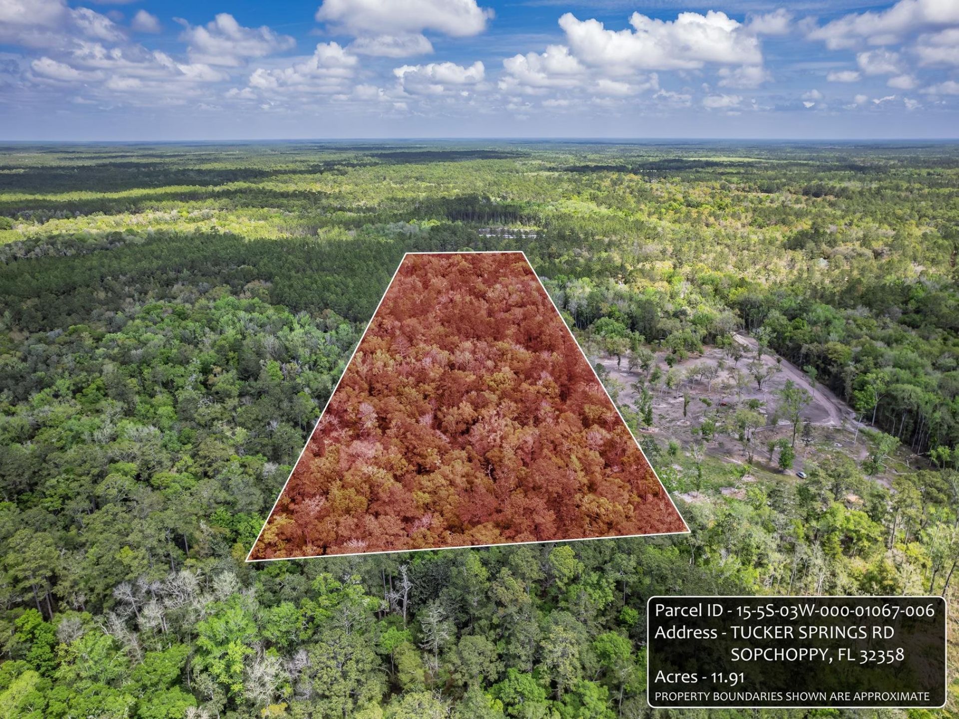 Xxx Tucker Springs Road, Sopchoppy, FL 32358 Photo
