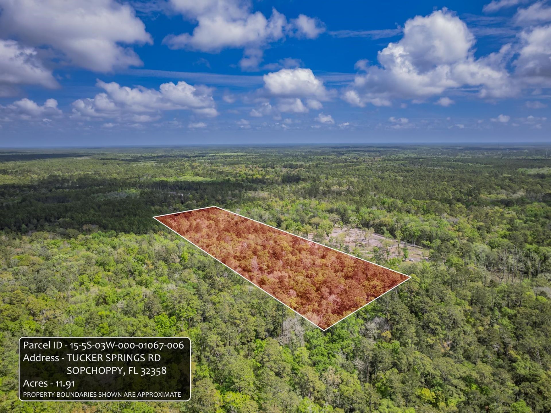 Xxx Tucker Springs Road, Sopchoppy, FL 32358 Photo