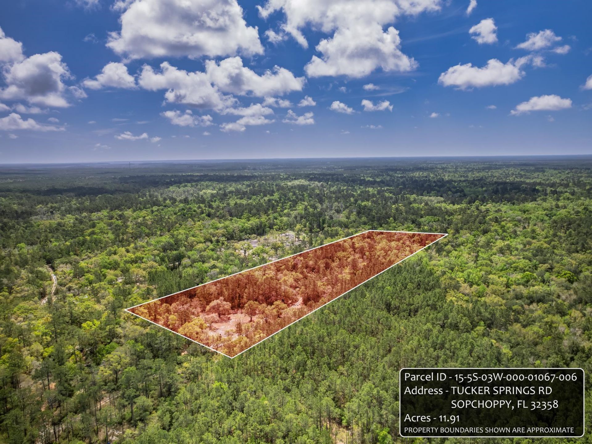 Xxx Tucker Springs Road, Sopchoppy, FL 32358 Photo