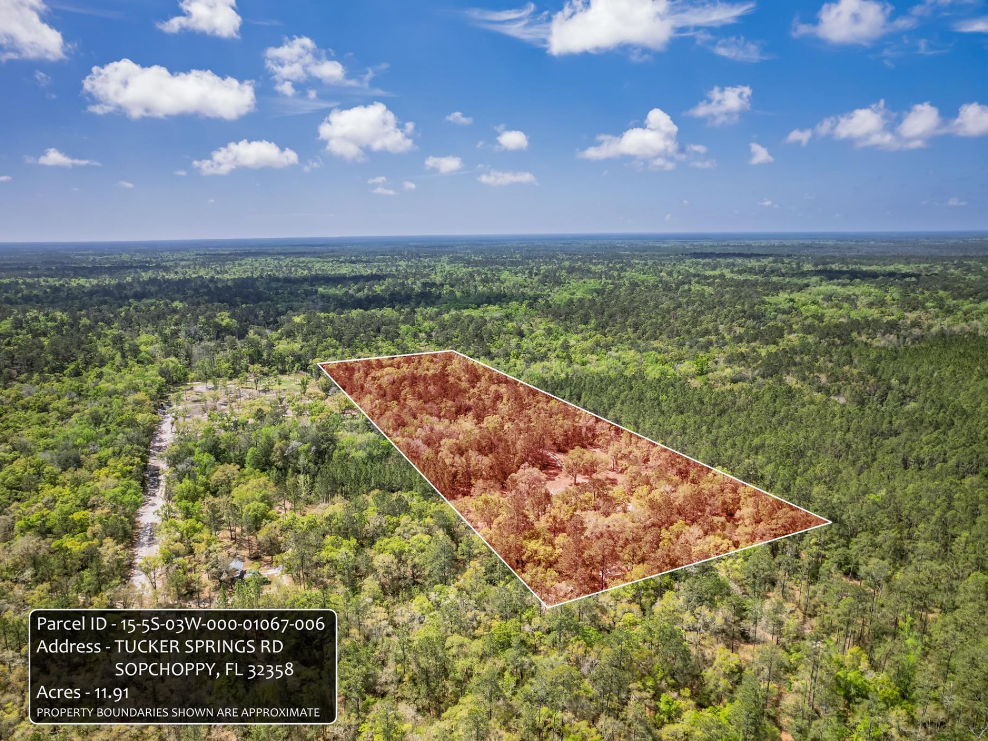 Xxx Tucker Springs Road, Sopchoppy, FL 32358 Photo