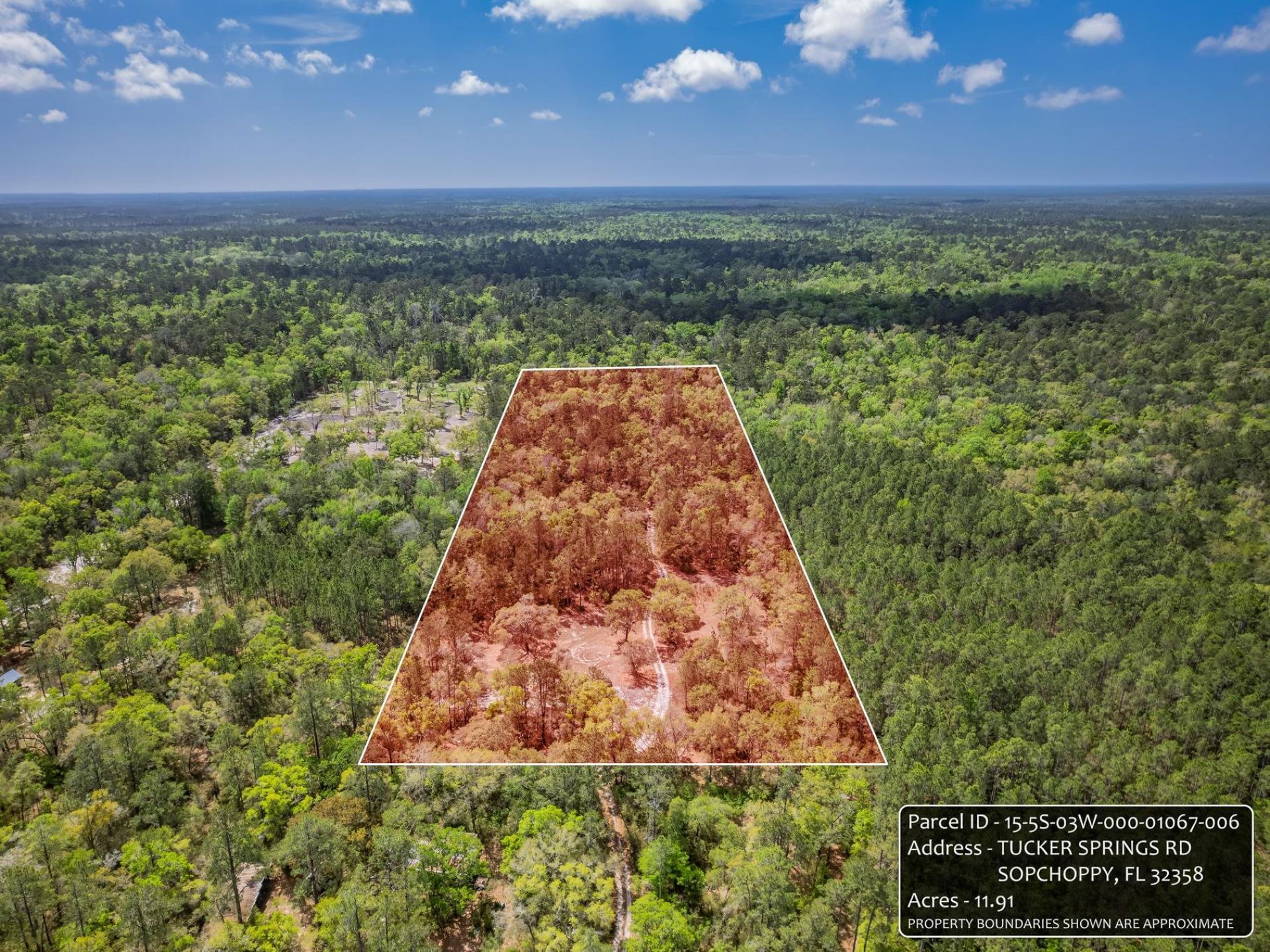 Xxx Tucker Springs Road, Sopchoppy, FL 32358 Photo